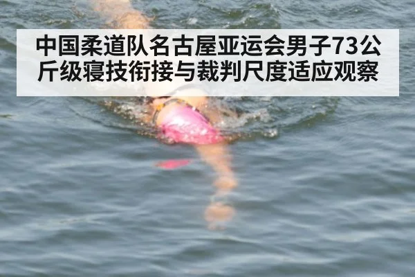 中国柔道队名古屋亚运会男子73公斤级寝技衔接与裁判尺度适应观察